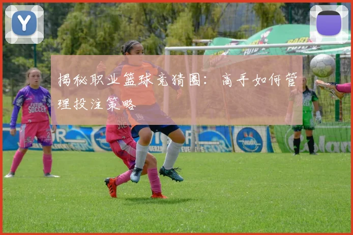 揭秘职业篮球竞猜圈：高手如何管理投注策略