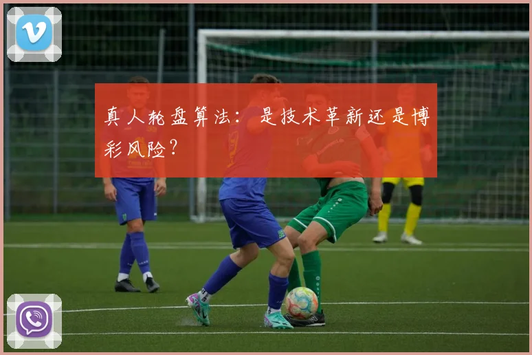 真人轮盘算法:是技术革新还是博彩风险?