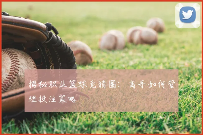 揭秘职业篮球竞猜圈：高手如何管理投注策略