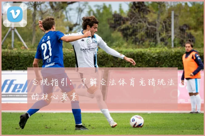 合规指引：了解合法体育竞猜玩法的核心要素