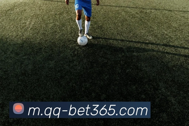 bet365平台生态图