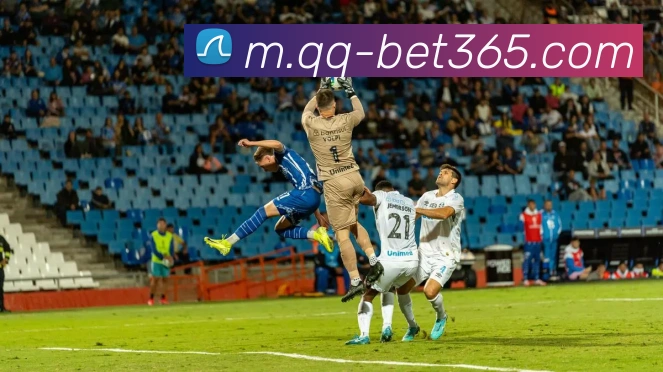 bet365全站App bet365全站App
